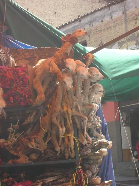 Dried Llama foetuses at the famous Witches Market, La Paz