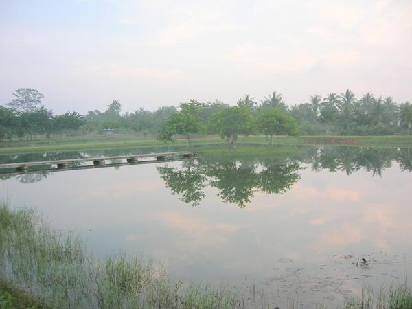 The square pond
