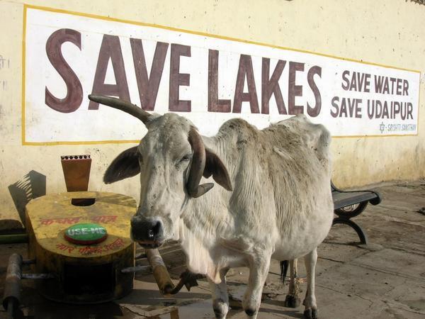 Save Lakes, Save Water, Save Udaipur