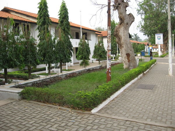 more of the university