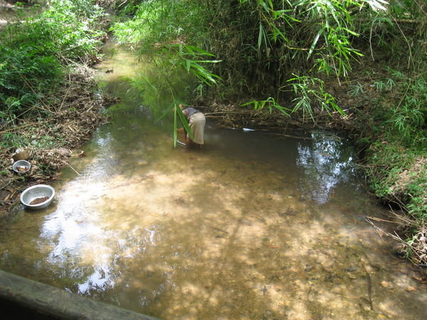a woman washing nuts in one of the streams