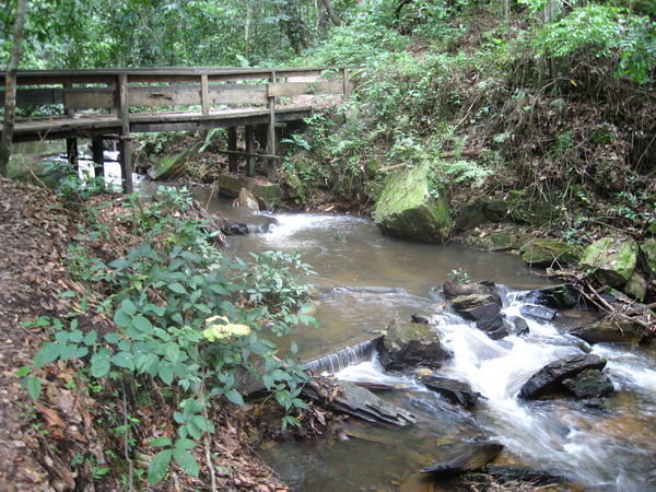 more bridges and streams