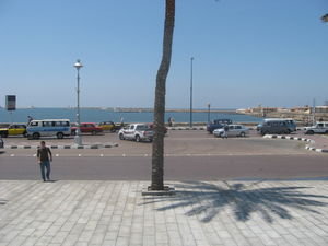 the coast of Alexandria
