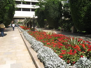 a garden at the Nile Hilton