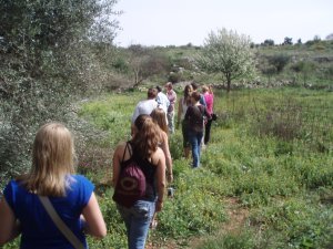Walking through olive groves