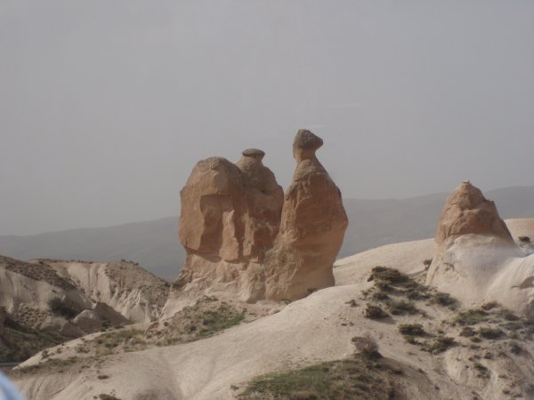 natural rock formation that looks like a camel