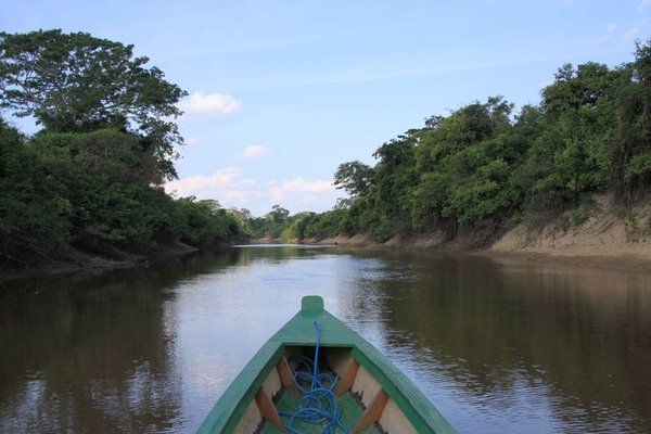Amazon Jungle - Pampas Tour