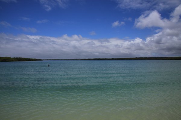 Tortuga Bay, Santa Cruz Island