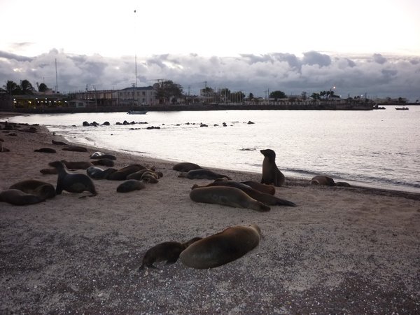 Beach at San Cristobal