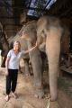 LAOS: Elephant Village