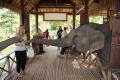 LAOS: Elephant Village - the trunks feel amazing