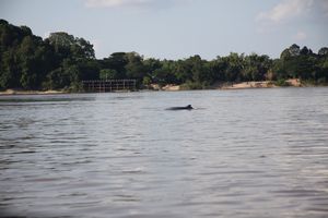 LAOS: Don Det - Looking for river dolphins
