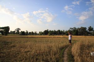 LAOS: Don Det - walking through rice fields