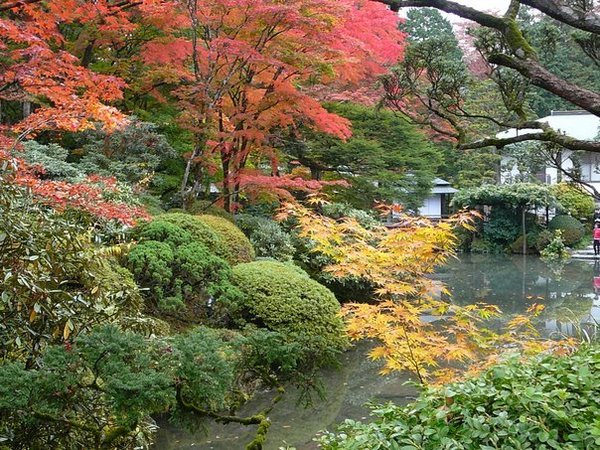 Autumn foliage - Shoyoen Garden