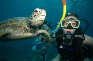 Scuba with a Turtle