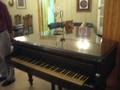 The grand piano