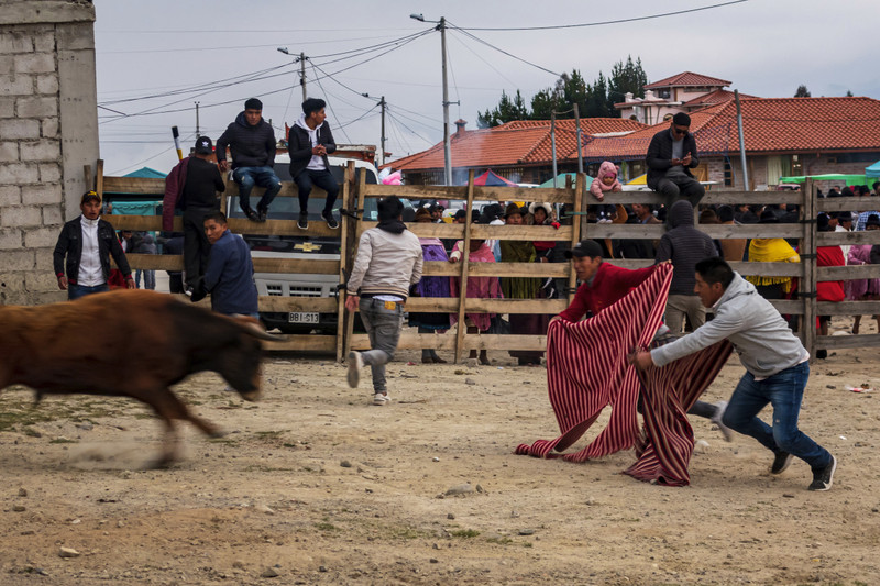 Bull fight in Quilotoa