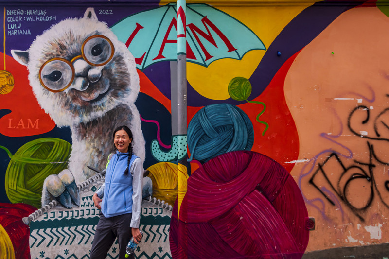 Suzanne with Alpaca street art in La Paz