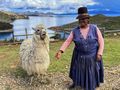 Old woman with Alpaca on Isla de Sol
