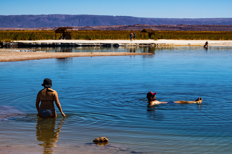 Salty Laguna Cejar in the Atacama Desert