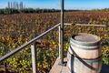 Touring the vineyards near Mendoza
