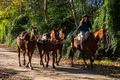 Horseriding in San Atonio de Areco