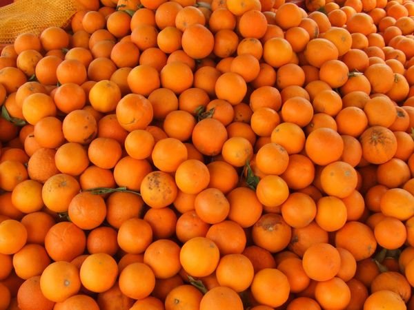 Oranges - as much as you want!