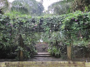 Botanical Gardens in Bogor