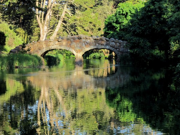 Reflections at Golden Gate Park