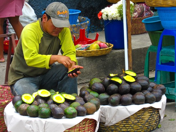 Avocado seller