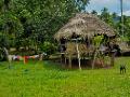 Embera house on stilts in Mogue