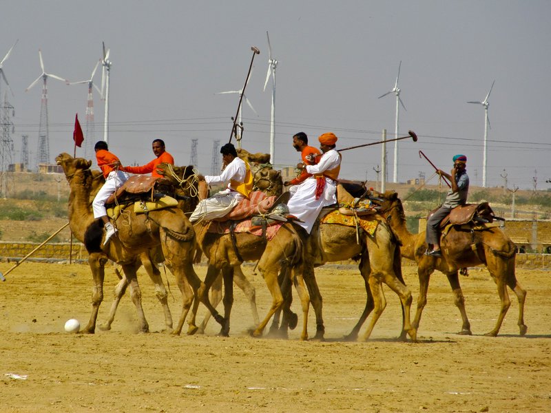 Camel polo match at the Jaisalmer Desert Festival 2011