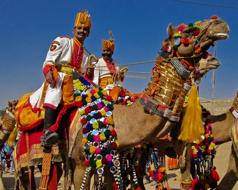 Jaisalmer Camel parade