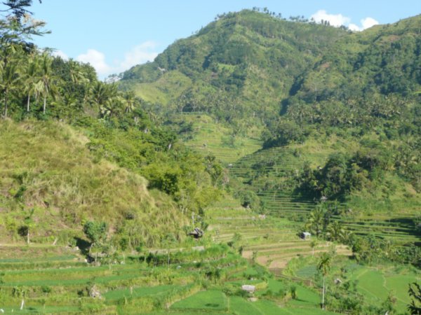 Balinese Hills