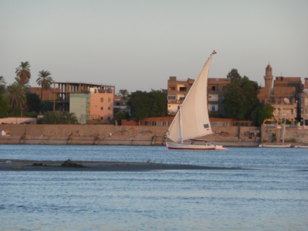 Sailing Felucca 