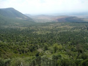 Rift Valley Viewpoint
