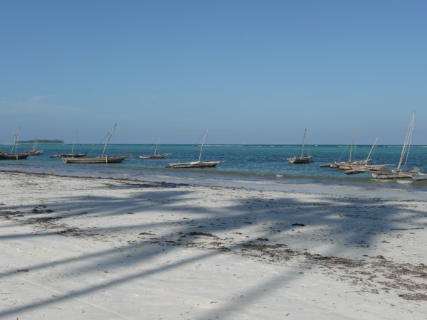 Zanzibar Sands