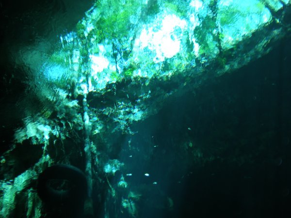Cenote Entrance