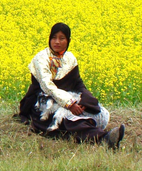 Amazing Tibetan Women