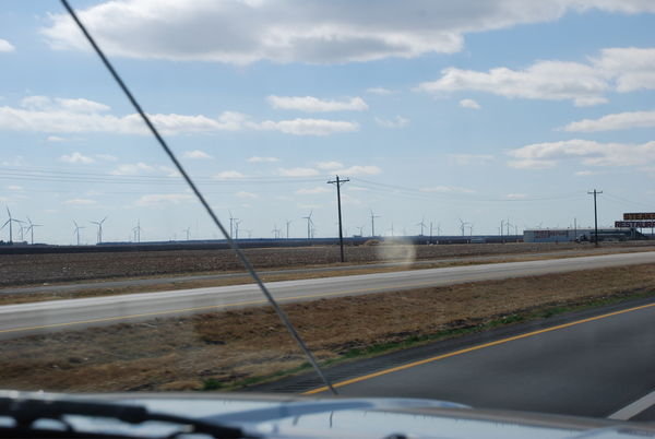 Texas Wind Turbine Farm