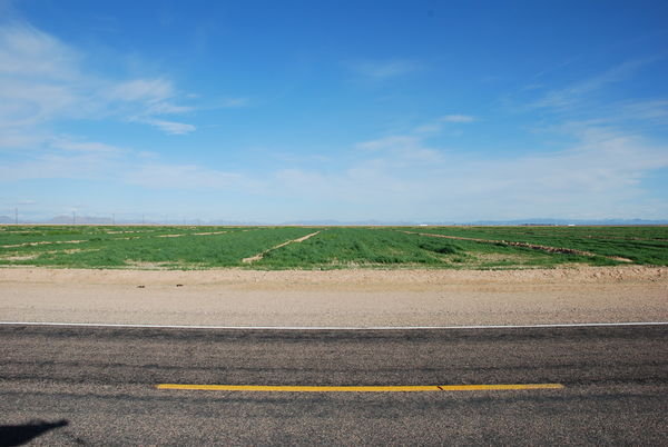 Hay Fields in the Desert