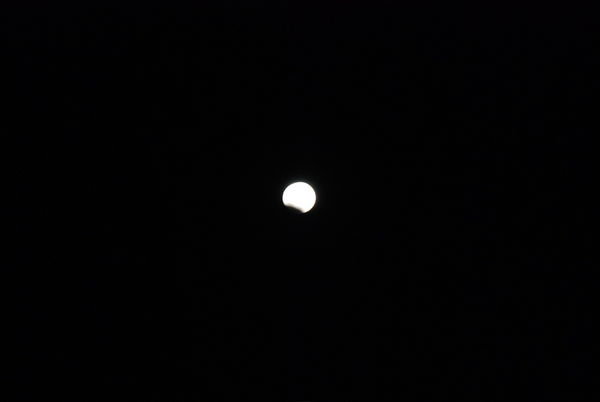 Total Lunar Eclipse, Tucson, AZ.