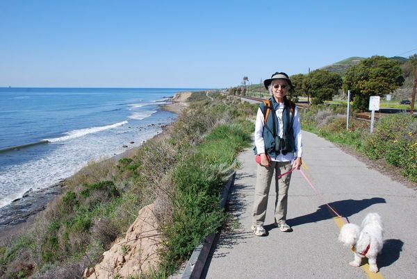 Bike Path Between El Capitan and Refugio State Beaches