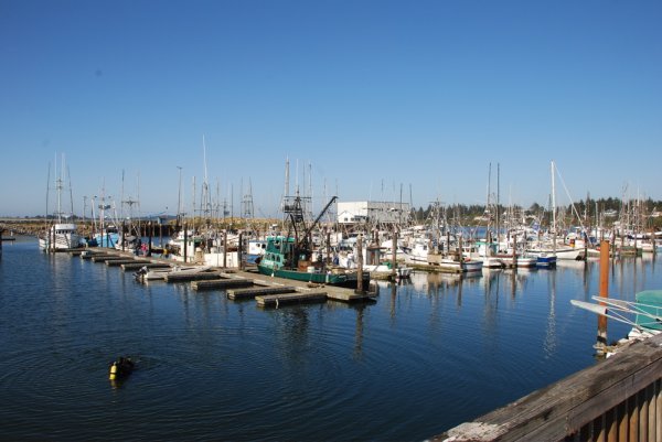 Charleston Fishing Fleet
