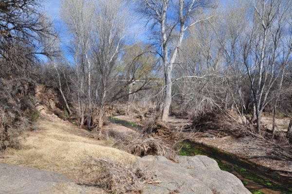Cienega Creek Nature Preserve