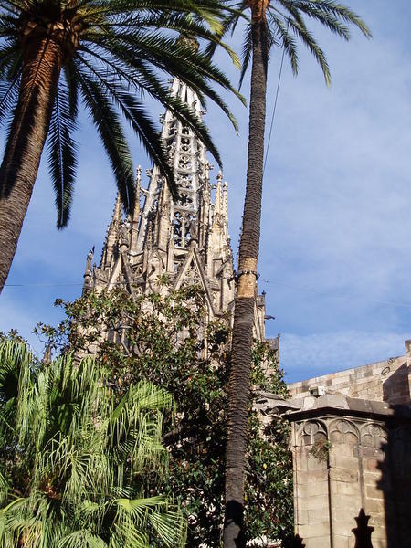 Palm tress and cathedral