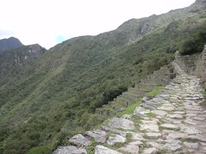 Inca trail out