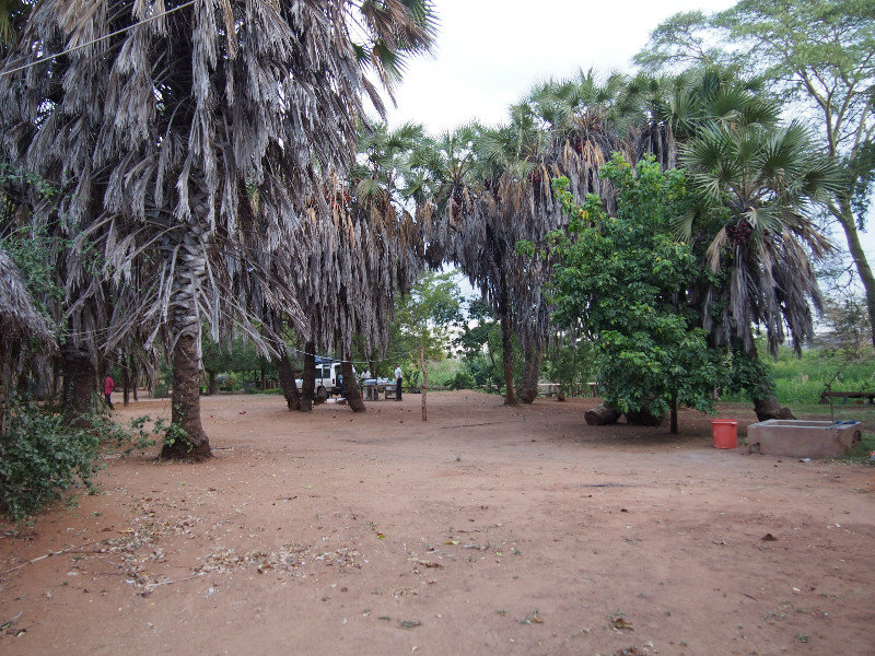 Zebra Camp
