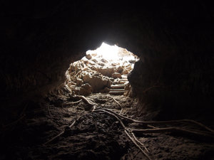 Inside the Bat cave