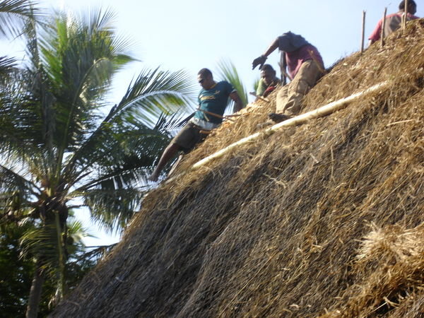 Fixing the roof on Beachcomber island